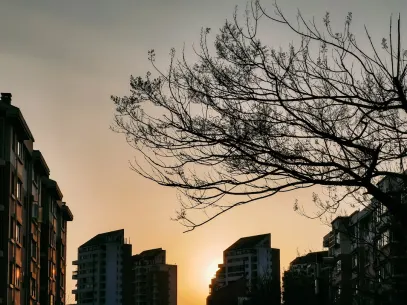 ميغا ريل كازينو تطبيق الهاتف المحمول